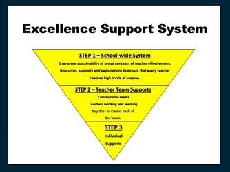 Excellence Support System