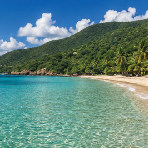 Editorial travel guide by HöN Magazine featuring the crystal-clear turquoise waters and lush tropical coastline of St. Croix, U.S. Virgin Islands, highlighting inspiring destinations for artists including Christiansted, Salt River Bay, Caribbean beaches, historic landmarks, nature preserves, and local art galleries.