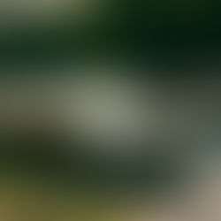 Photo series of the 1970 Chrysler Newport Custom, showcasing its classic design, chrome accents, and elegant silhouette from various angles.