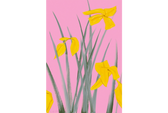 Alex Katz Yellow Flags 3, 2020, archival pigment on innova etching cotton rag 315gsm, 84x5