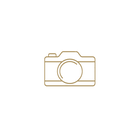 camera gold.png