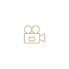 video cam gold.png