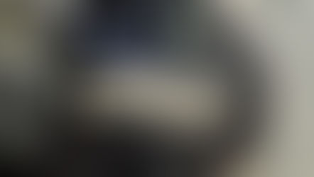 LEXUS ALA10系 RX カーフィルム