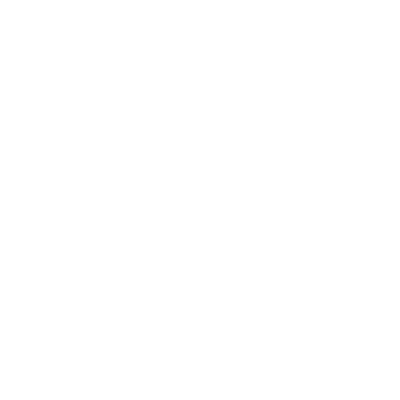 Growth Strategy