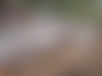 Project Feature: Walter Sisulu University IBIKA Campus Butterworth