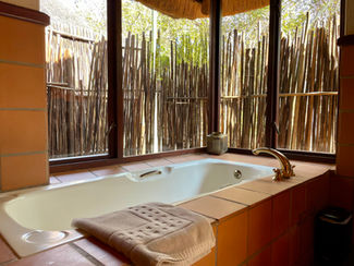 Bush Lodges in Game Reserve