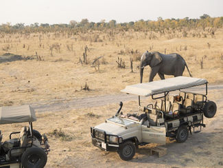 Safari vehicle in Hwange with Elephant