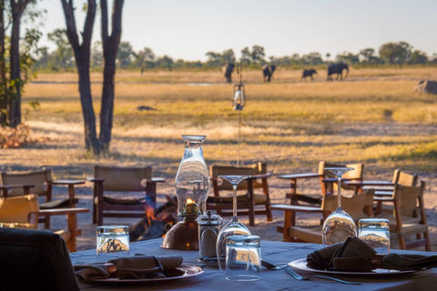 Little Makalolo with Elephants in distance