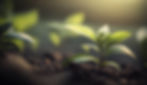 fresh-growth-green-plant-nature-beauty-generated-by-ai.jpg