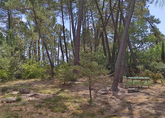 terrain.jpeg