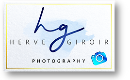 Free Elegant Texture Business Cards Mock