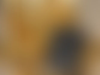 The Most "Affordable" Reloading Setup