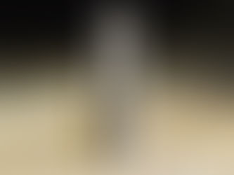 What Reloading Press Should I Buy?