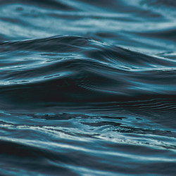 Dark Waves
