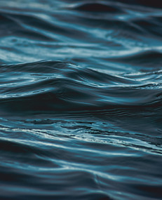 Dark Waves