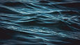Dark Waves