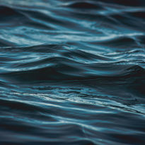 Dark Waves