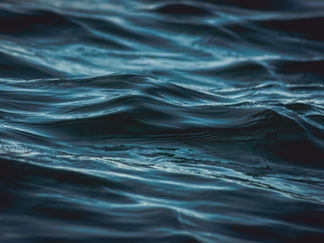 Body of Missing Kayaker Recovered in Ashland City