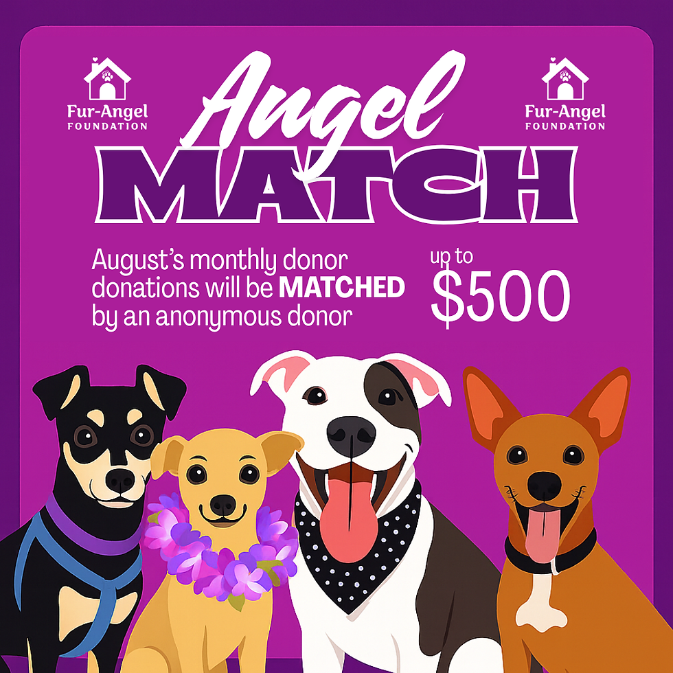 Angel Match