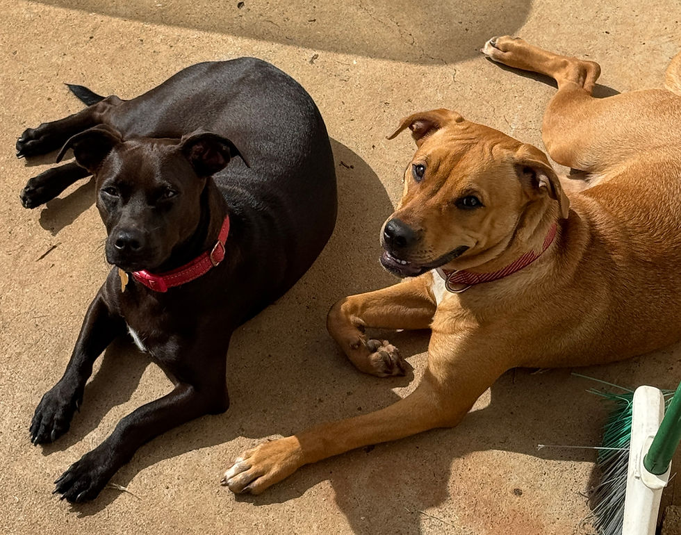 Thumbnail: Phat Girl