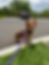 Thumbnail: Toasty
