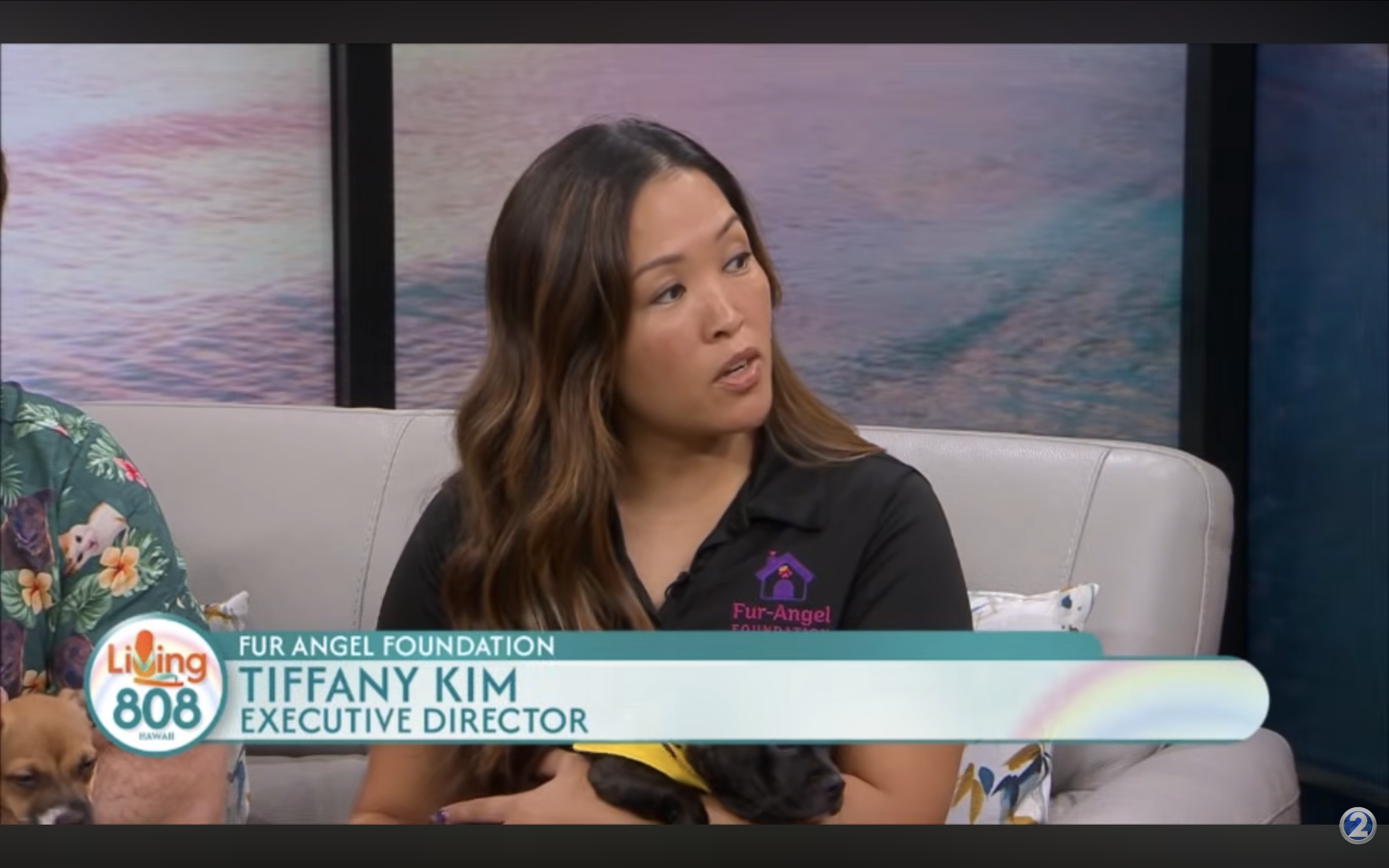KHON2 — Rescue dogs find loving homes via Fur-Angel Foundation