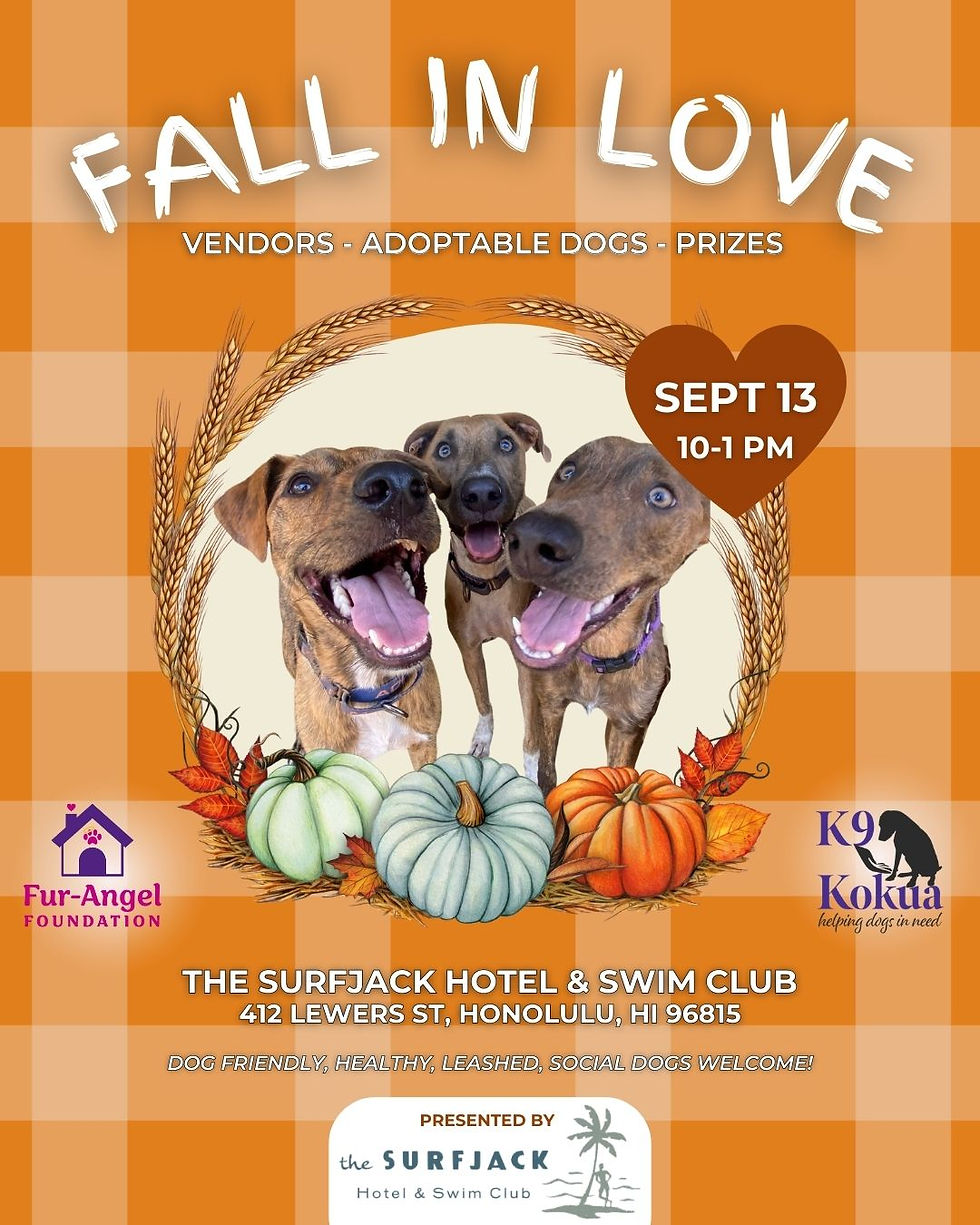 FALL IN LOVE AT THE SURFJACK HOTEL EVENT!
