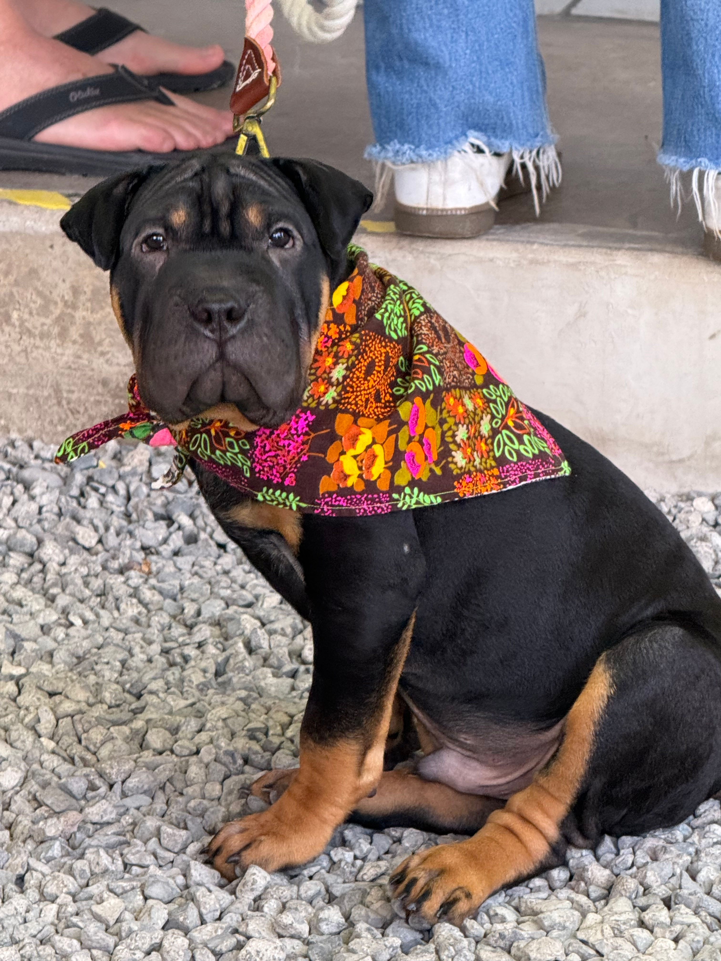 Marley James aka Bennett