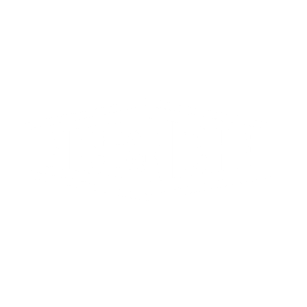 NN_White logo.png