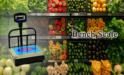 bench scale.jpg