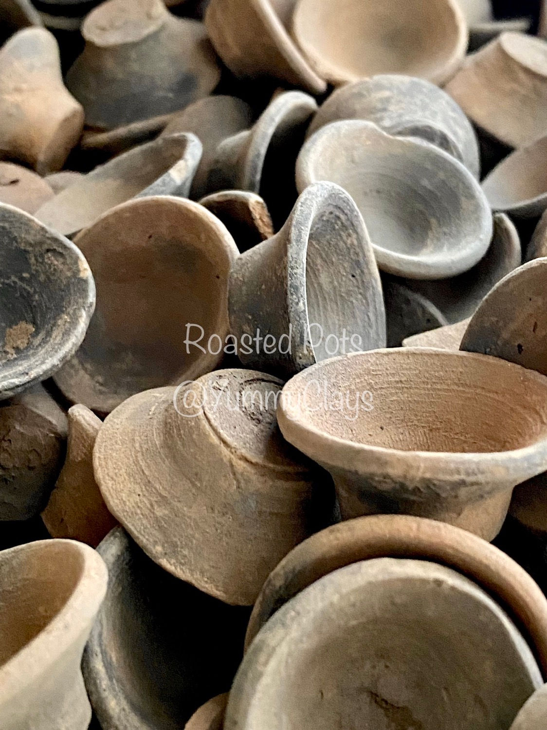 ROASTED POTS 