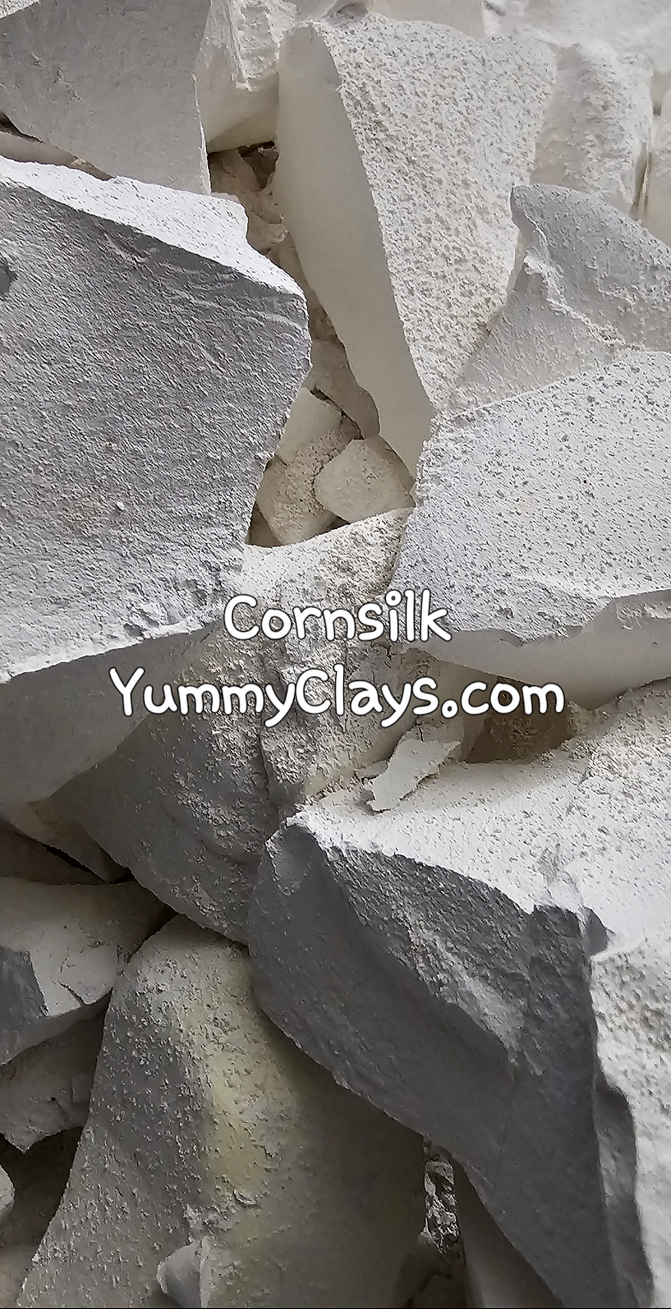 Thumbnail: CORNSILK 