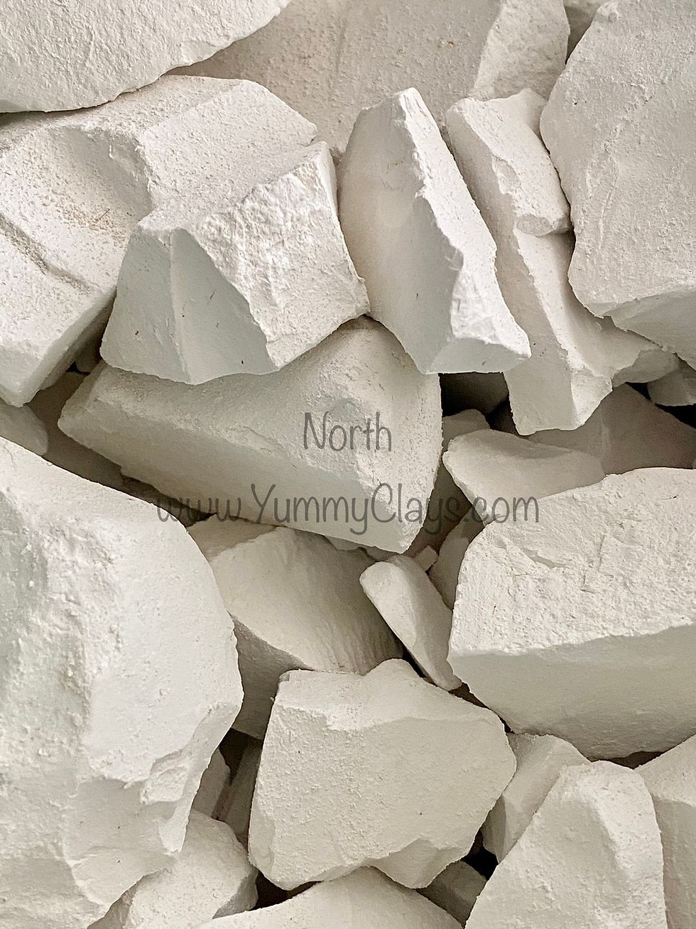 Thumbnail: NORTH 