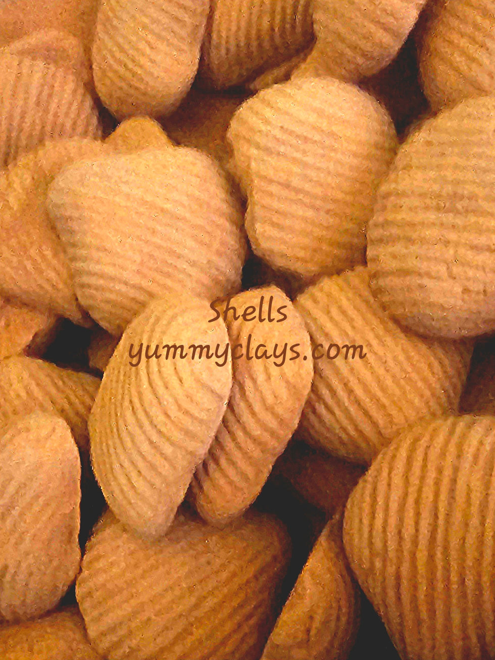 Thumbnail: SHELLS