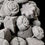 Thumbnail: BLACKCURRENTS