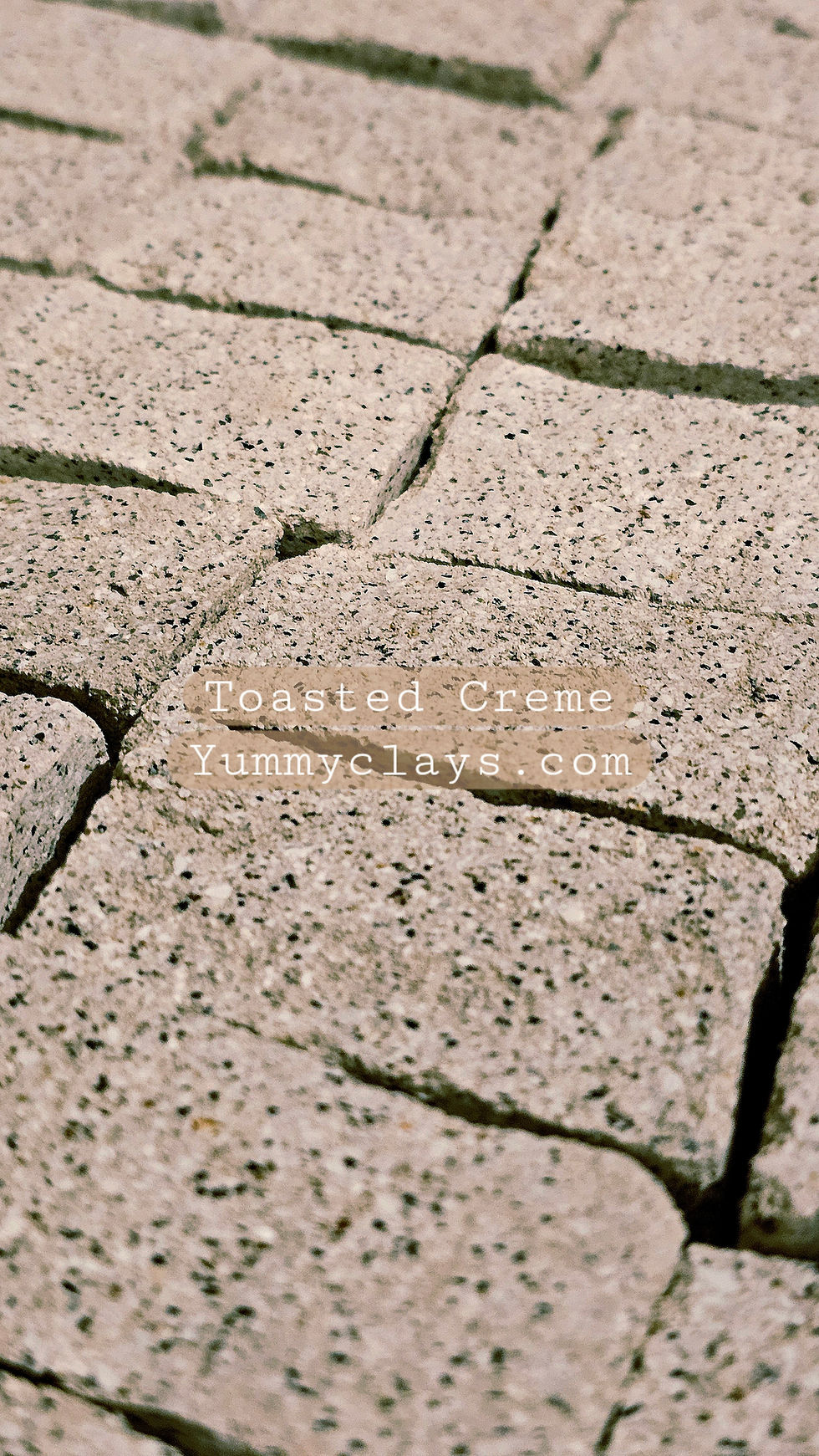 Thumbnail: TOASTED CREME