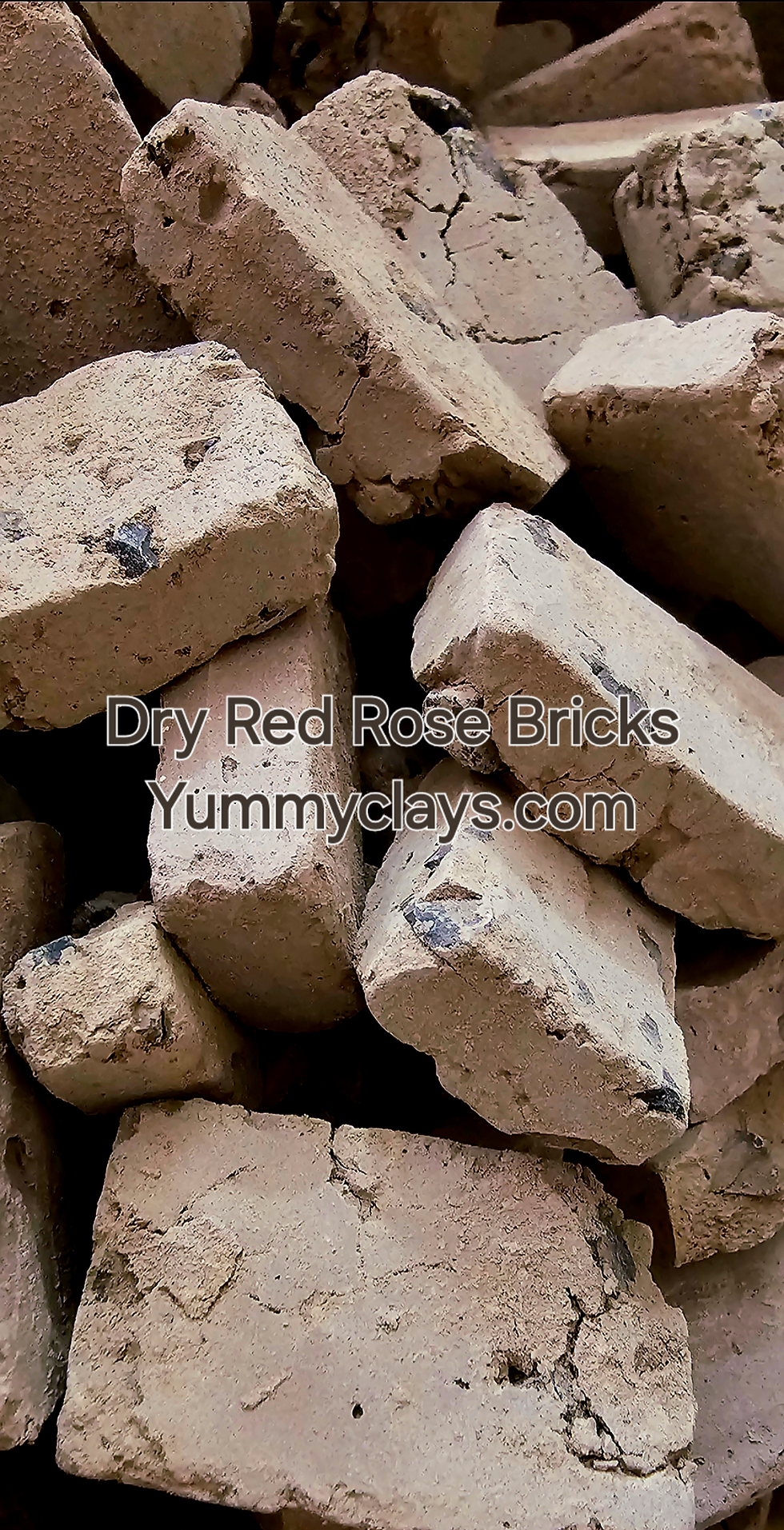 Thumbnail: DRY RED ROSE BRICKS 