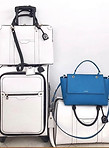 Bendel Luggage set