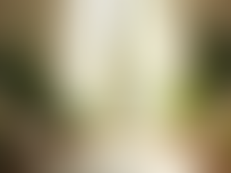 Diseño wellness en interiores: mejora tu bienestar