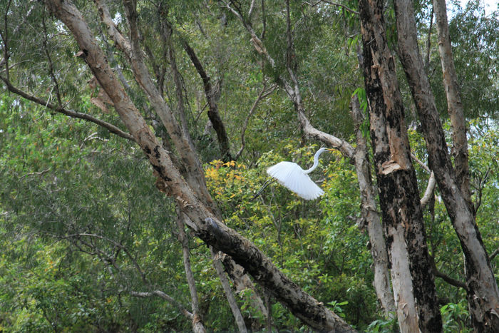 Kakadu National Park