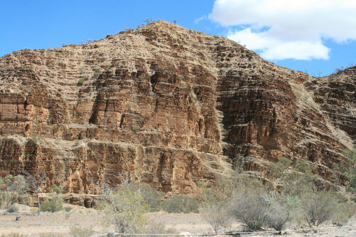 Arkaroola
