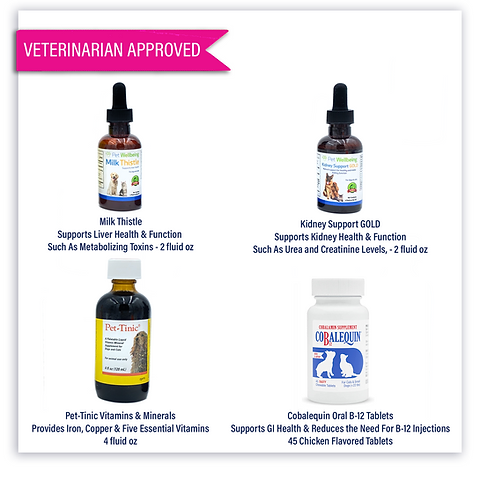 FIP Supplement & Supportive Care Treatment Kit