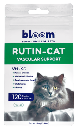 Snapshot of Rutin For Cats With Leukemia Symptoms