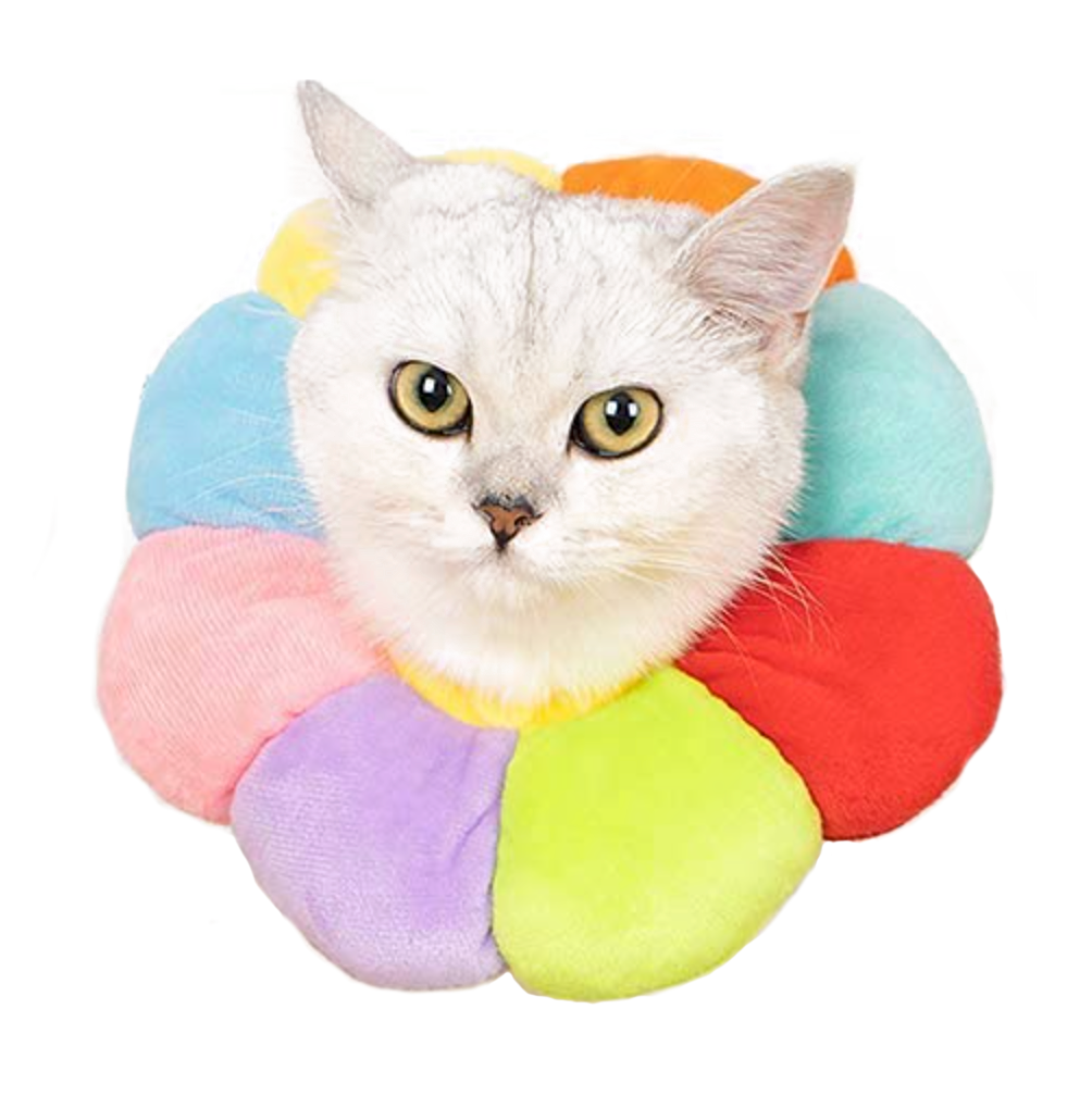 Recovery E-Collar for Cats