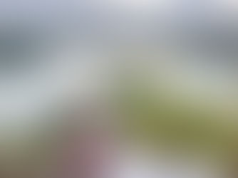 Dorka és Bálint Kreatív Páros Fotózása a Bledi-tónál