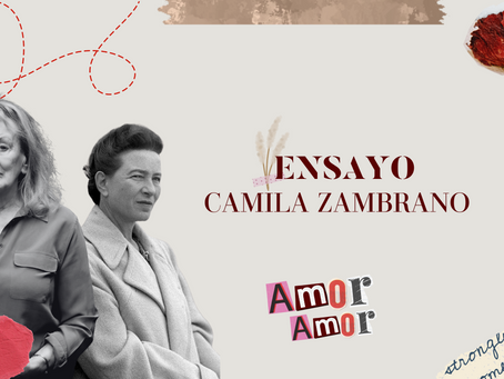 Nuestra absurda visión del amor: ensayo sobre la identidad femenina y la escritura introspectiva