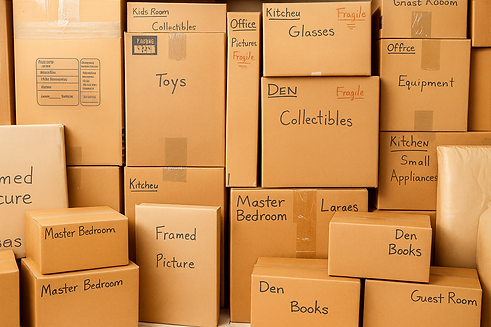 ChatGPT Image Oct 29, 2025, 02_20_38 PM.png