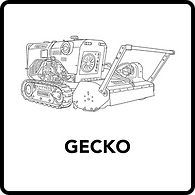 Frontoni Gecko