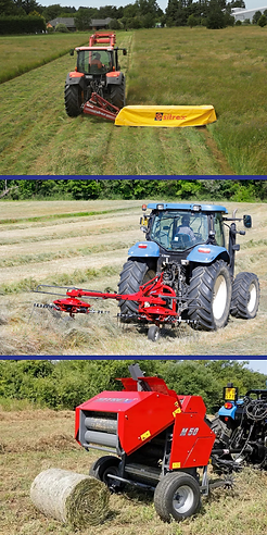 Sitrex Website images.png