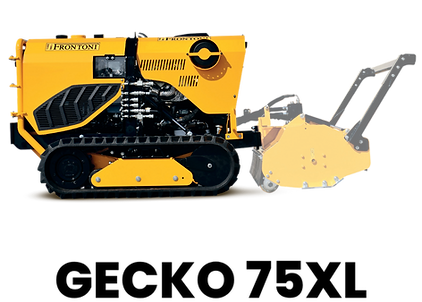 Frontoni Gecko 75XL